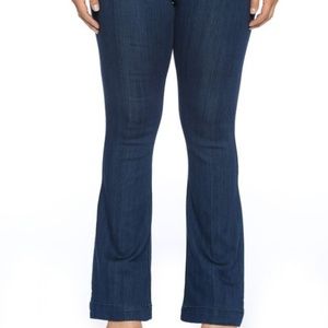 Dark Denim Plus Sized Cello Jeans
